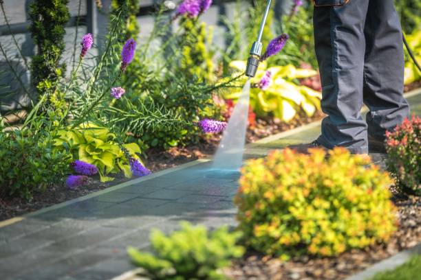 Best Pool Deck Cleaning  in Vla Park, IL